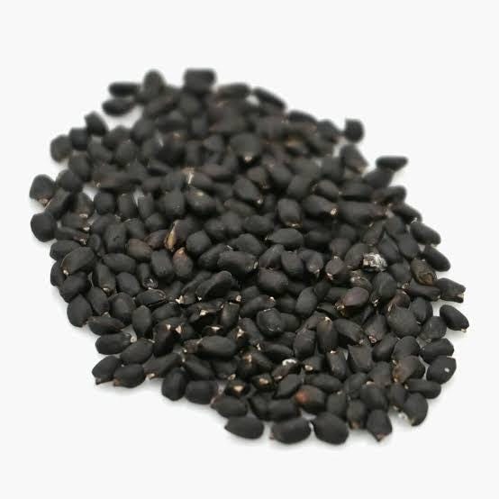 Genovese basil seeds (harvested 2026) (Ocimum basilicum) (2 grams or ~1,250 seeds)