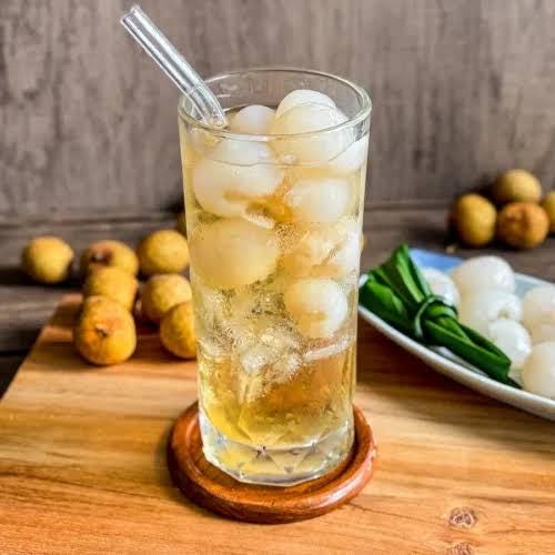 Longan tree live sprouts (1 tree sprout) (Dimocarpus longan)