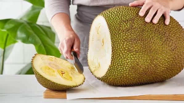 Jackfruit seeds (at least 15 seeds) (Artocarpus heterophyllus)