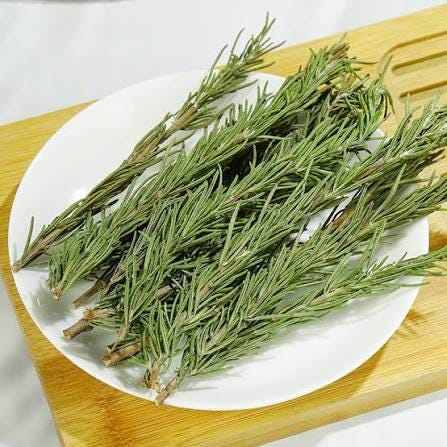 Freshly picked rosemary sprigs (Salvia rosmarinus, formerly Rosmarinus officinalis)