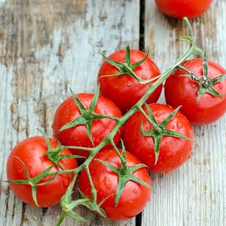 Large cherry tomato seeds (Solanum lycopersicum) (~250 seeds)