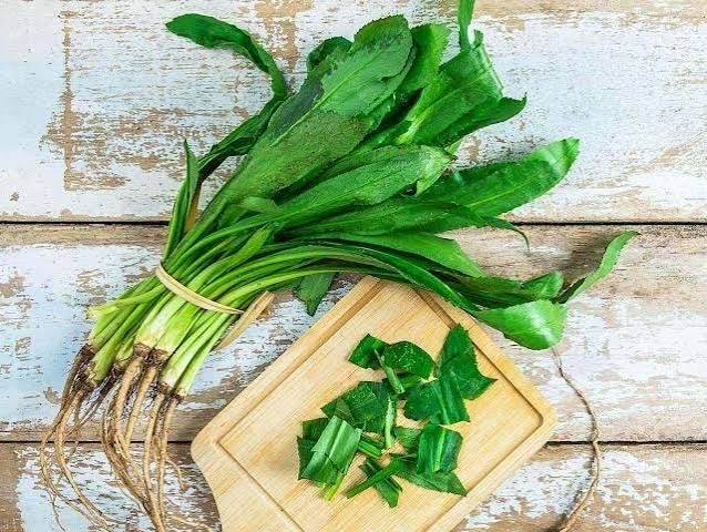 Freshly picked culantro leaves (Eryngium foetidum)
