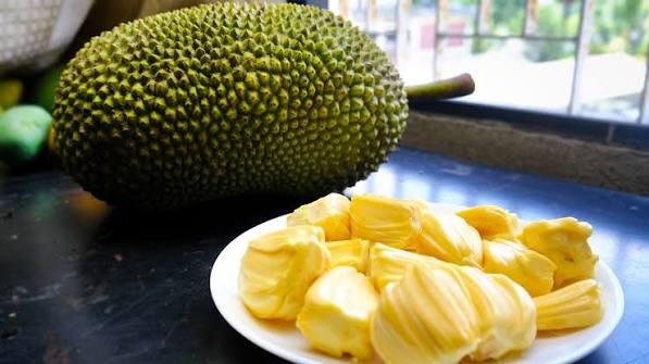 Jackfruit seeds (at least 15 seeds) (Artocarpus heterophyllus)