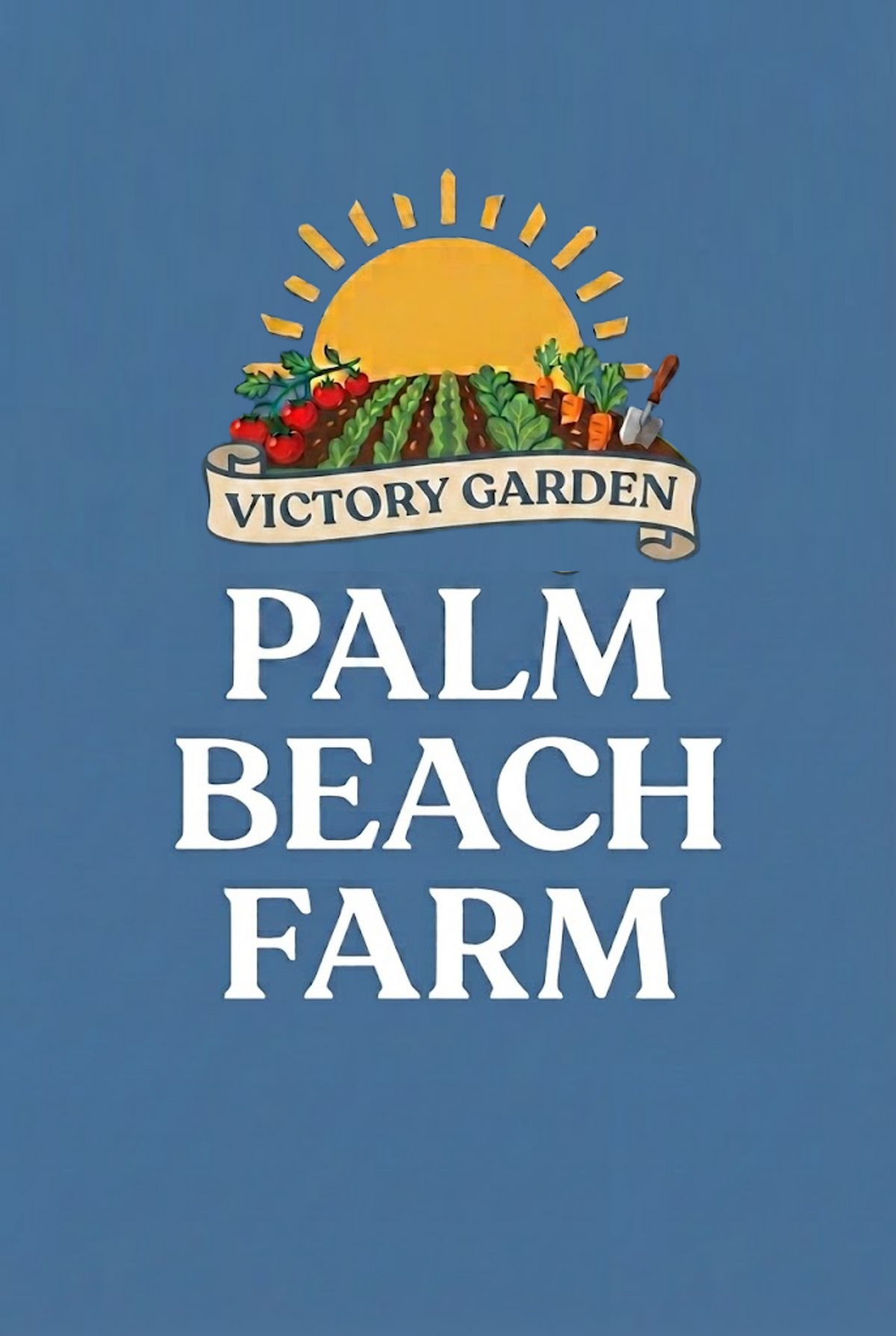 Romaine lettuce seeds (Parris Island variety) (harvested 2026) (Lactuca sativa)