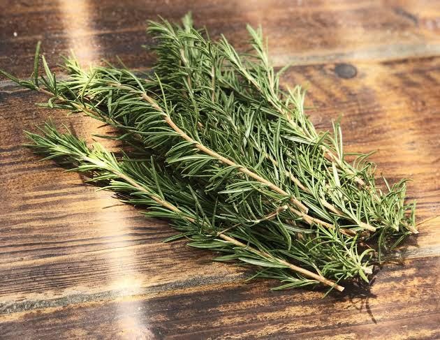 Freshly picked rosemary sprigs (Salvia rosmarinus, formerly Rosmarinus officinalis)