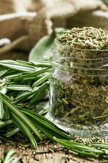 Freshly picked rosemary sprigs (Salvia rosmarinus, formerly Rosmarinus officinalis)