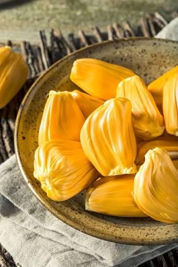 Jackfruit seeds (at least 15 seeds) (Artocarpus heterophyllus)