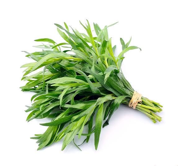 Freshly picked French tarragon sprigs (Artemisia dracunculus var. sativa)