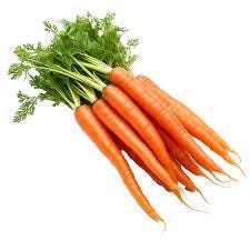 Tendersweet carrot seeds (harvested 2026) (Daucus carota) (2 grams or ~1,500 seeds)