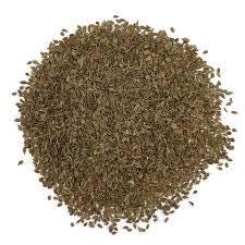 Tendersweet carrot seeds (harvested 2026) (Daucus carota) (2 grams or ~1,500 seeds)