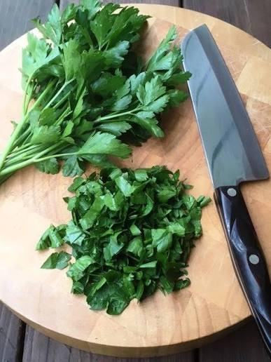 Freshly picked Italian parsley sprigs (Petroselinum crispum)