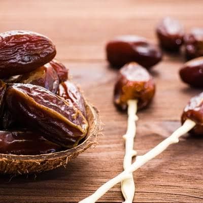 Medjool date palm seeds (Phoenix dactylifera medjool)