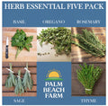 Herb essential FIVE PACK - Freshly picked Genovese basil, oregano, rosemary, savory sage & garden thyme sprigs (5 pint bags)