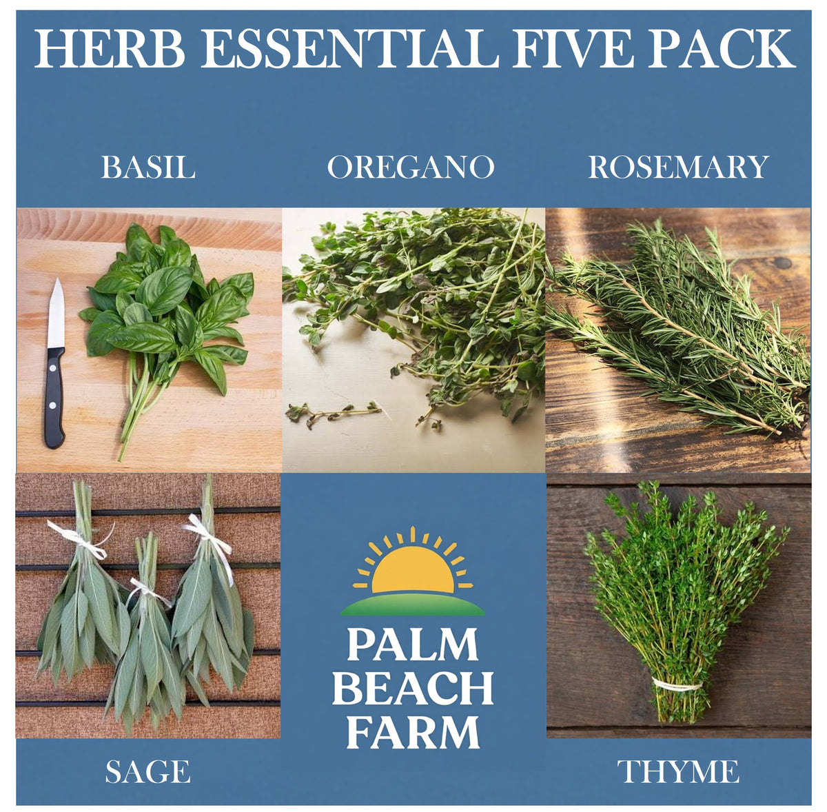 Herb essential FIVE PACK - Freshly picked Genovese basil, oregano, rosemary, savory sage & garden thyme sprigs (5 pint bags)