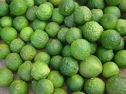 Guacamole Fiesta Pack for 4-6 revelers!
