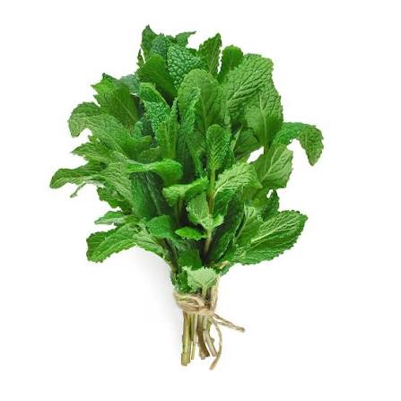 Freshly picked mint sprigs (Mentha)